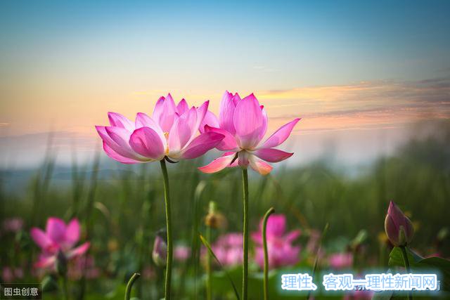 ç”Ÿæ»å|‚æï¼Œäooç”Ÿä¼¼Œ¶ï¼Œå®ˆä½å¿ƒåo•‚æœ€ç¾ŽŽæ™ï¼Œå®™€Œ‡䨨¿œ